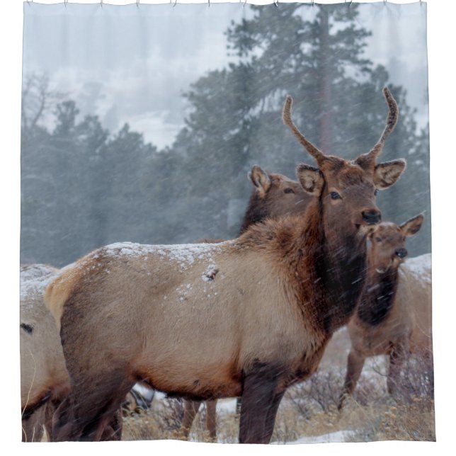 A GROUP OF DEERS SHOWER CURTAIN (Front)