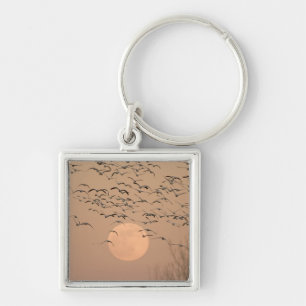 A group of migratory snow geese, Grus Key Ring