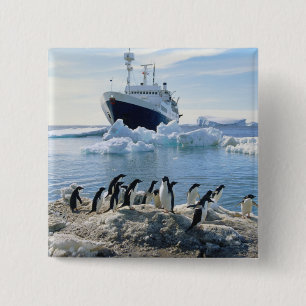 A Group Of Penguins Standing On An Icy Beach 15 Cm Square Badge
