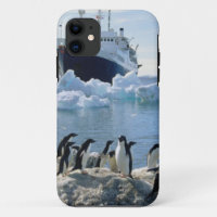 A Group Of Penguins Standing On An Icy Beach