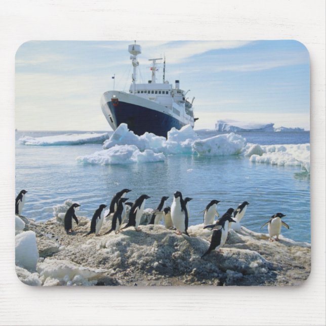 A Group Of Penguins Standing On An Icy Beach Mouse Pad (Front)