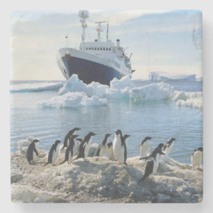 A Group Of Penguins Standing On An Icy Beach Stone Coaster