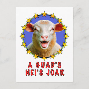 A guads neis Johr Postcard