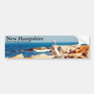 A Gull's Post Bumper Sticker