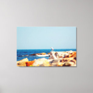 A Gull's Post Canvas Print
