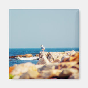 A Gull's Post Magnet