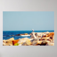 A Gull's Post