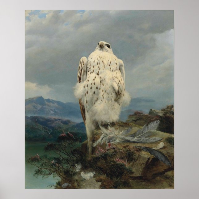 A Gyrfalcon in an Extensive Mountainous Landscape Poster (Front)