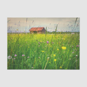 A Halcyon Barn Cuddled in a Wildflower Meadow Tissue Paper