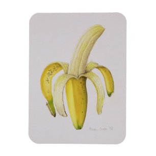 A Half-peeled Banana 1997 Magnet