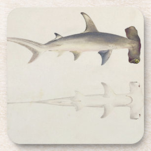A Hammer-headed Shark, Loheia, formerly attributed Coaster