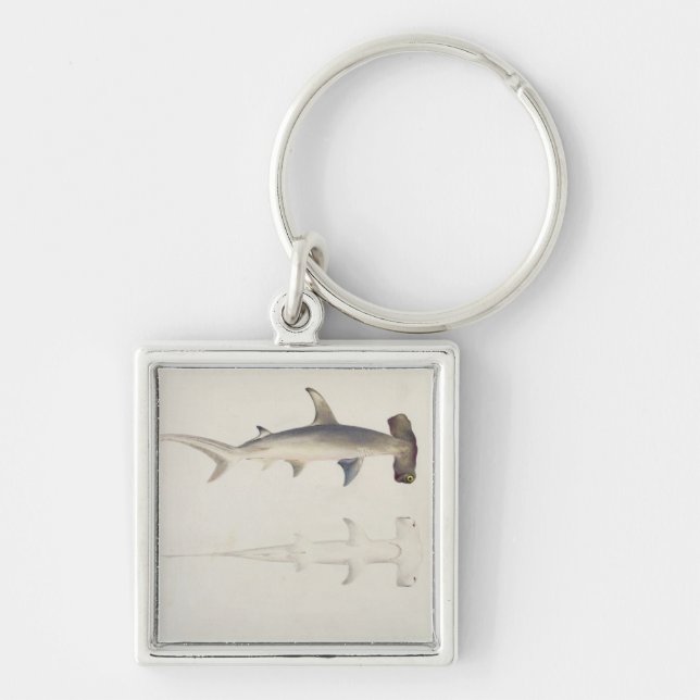 A Hammer-headed Shark, Loheia, formerly attributed Key Ring (Front)