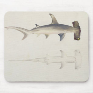 A Hammer-headed Shark, Loheia, formerly attributed Mouse Pad
