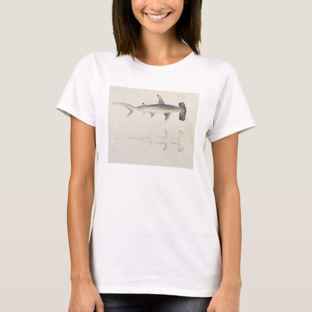 A Hammer-headed Shark, Loheia, formerly attributed T-Shirt (Front)