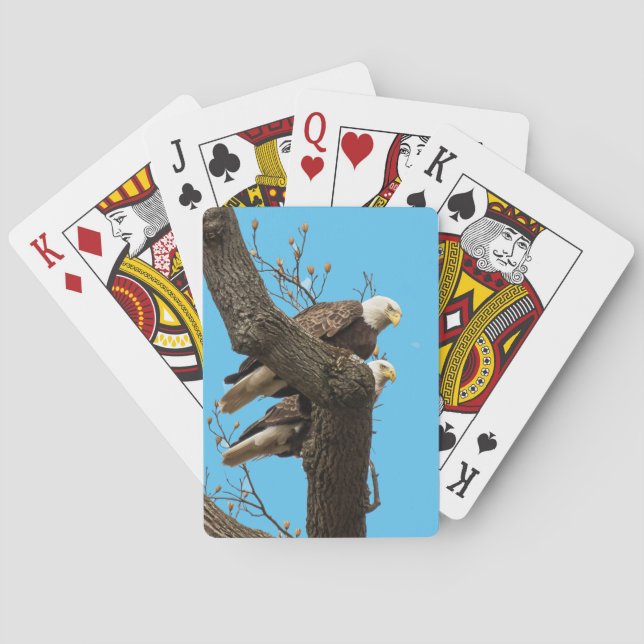 A Happy (?) Eagle Couple Playing Cards (Back)