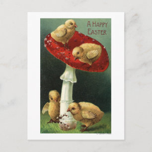 A Happy EasterChicks on Red Mushroom Holiday Postcard
