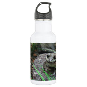 A Happy Frog 532 Ml Water Bottle
