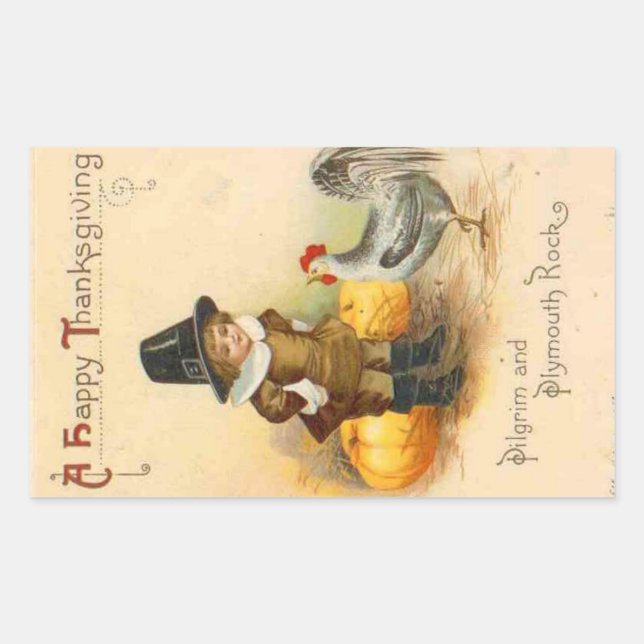 A Happy Thanksgiving Pilgrim & Plymouth Rock Rectangular Sticker (Front)