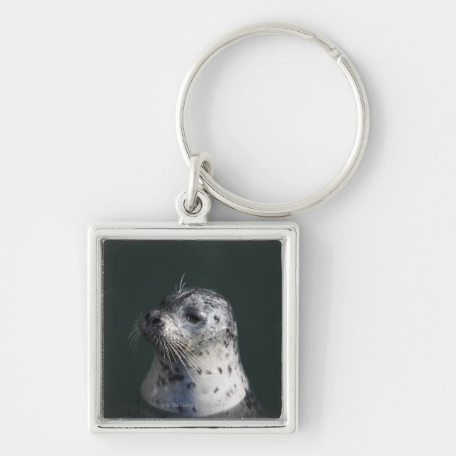 A harbour seal key ring (Front)