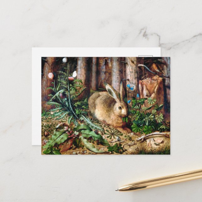 A Hare in the Forest  Postcard (Front/Back In Situ)