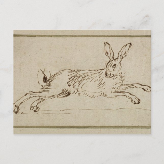 A Hare Running, With Ears Pricked (pen & ink on pa Postcard (Front)