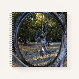 A Haunted tree....... Notebook