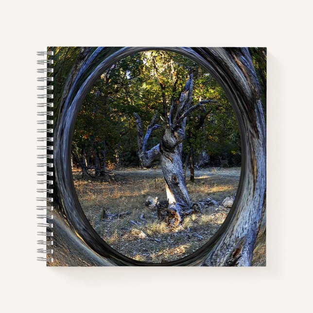 A Haunted tree....... Notebook (Front)