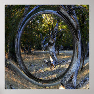 A Haunted tree...... Poster