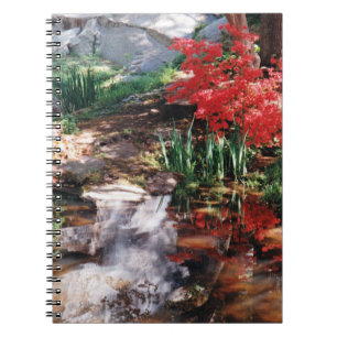 A Healing Place Notebook