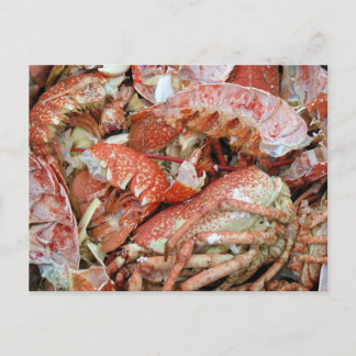 A heap of cooked Lobster and Crab shells Postcard