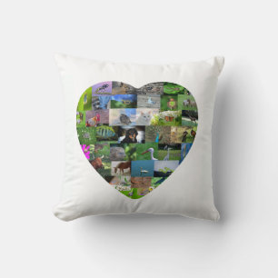 A heart for animals cushion