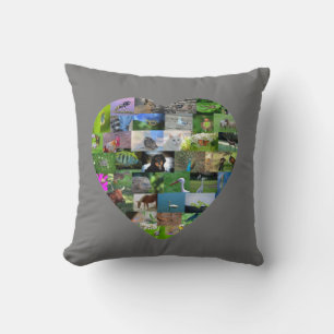A heart for animals  -  in grey cushion