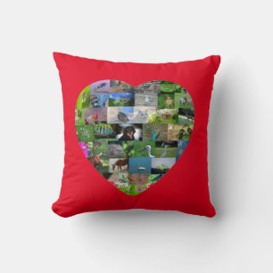 A heart for animals  -  in red cushion