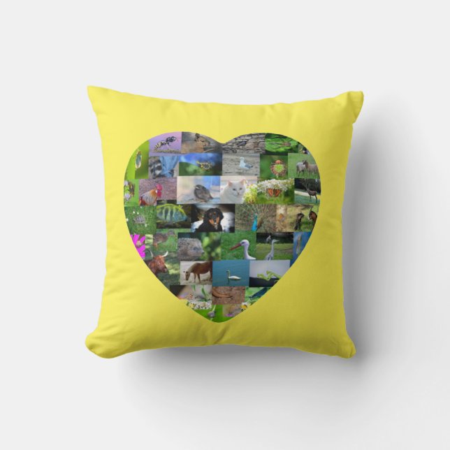 A heart for animals  -  in yellow cushion (Front)