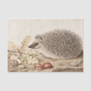 A Hedgehog in a Landscape by Giovanna Garzoni Tissue Paper