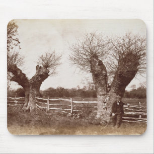 A Hedgerow Tree, 1852 (albumen print) Mouse Pad