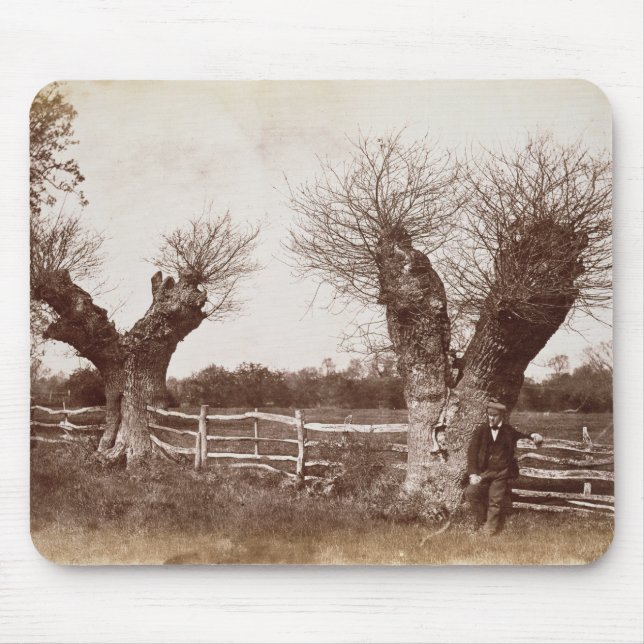 A Hedgerow Tree, 1852 (albumen print) Mouse Pad (Front)