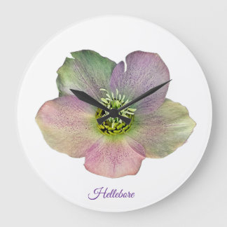 A Hellebore, a Lenten Rose Large Clock