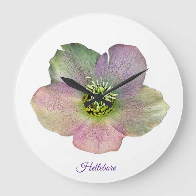 A Hellebore,  a Lenten Rose Large Clock (Front)