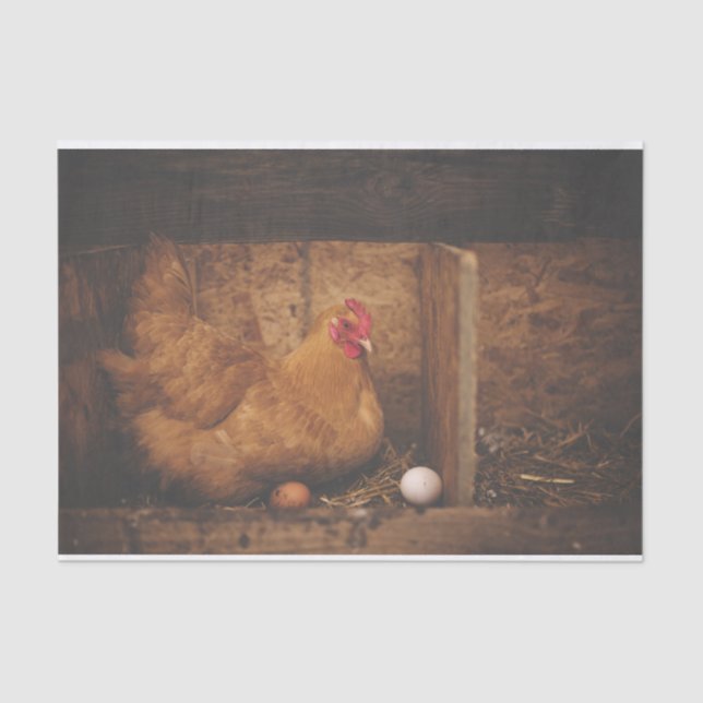 A Hen and Her Eggs Tissue Paper (Front)