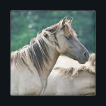 A herd of Brumby Horses from Australia Magnet<br><div class="desc">A photo of a herd of wild brumby horses from Australia. Light brown buckskin colour,  with long wild manes. Green foliage background.</div>