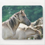 A herd of Brumby Horses from Australia Mouse Pad<br><div class="desc">A photo of a herd of wild brumby horses from Australia. Light brown buckskin colour,  with long wild manes. Green foliage background.</div>