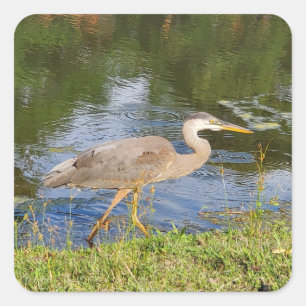 A heron square sticker