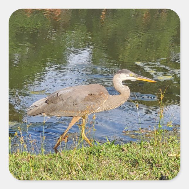 A heron square sticker (Front)