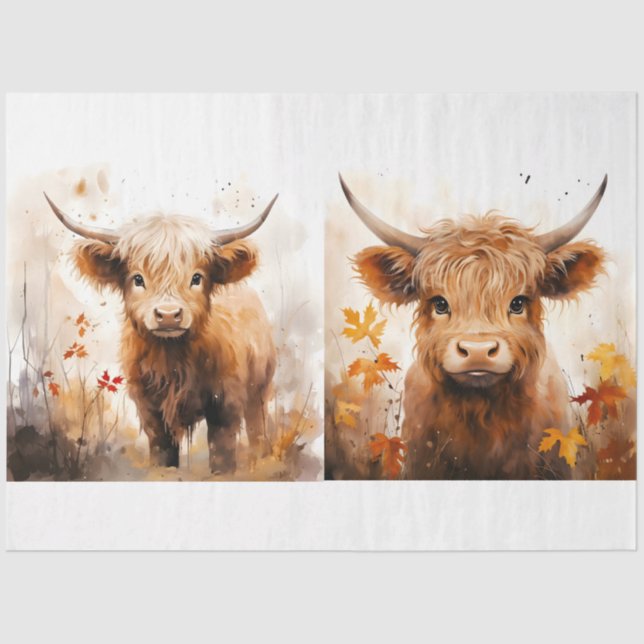 A Highland Cow Design Collection 1 Tissue Paper (Front)
