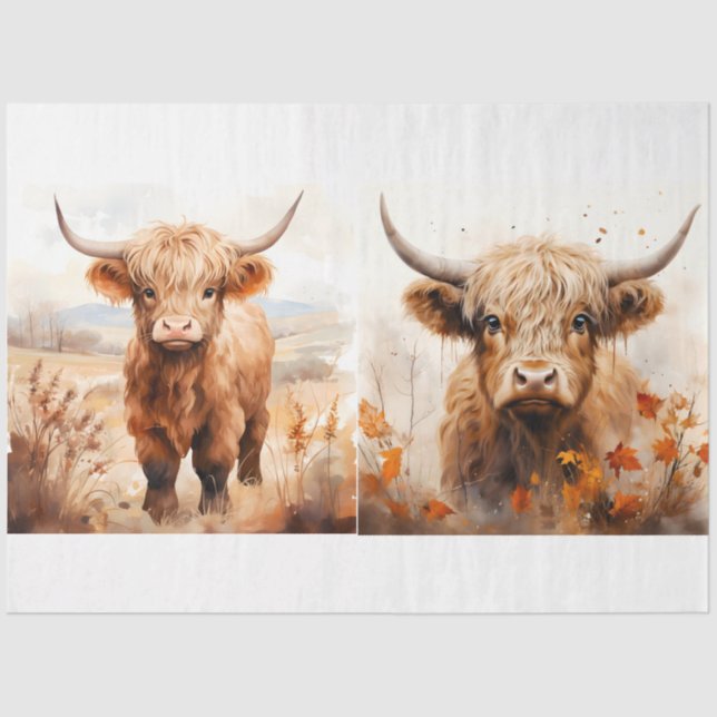 A Highland Cow Design Collection 5 Tissue Paper (Front)