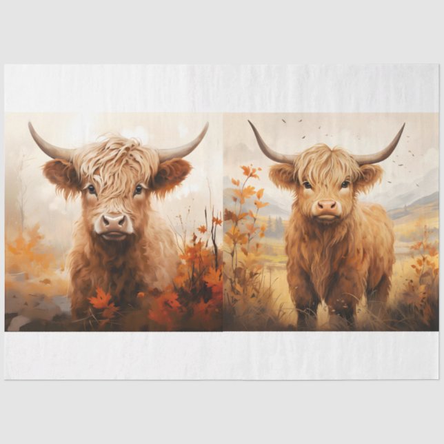 A Highland Cow Design Collection 6 Tissue Paper (Front)