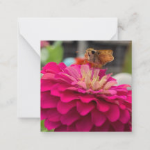 A Hint of Z "Fly Away" mini notes