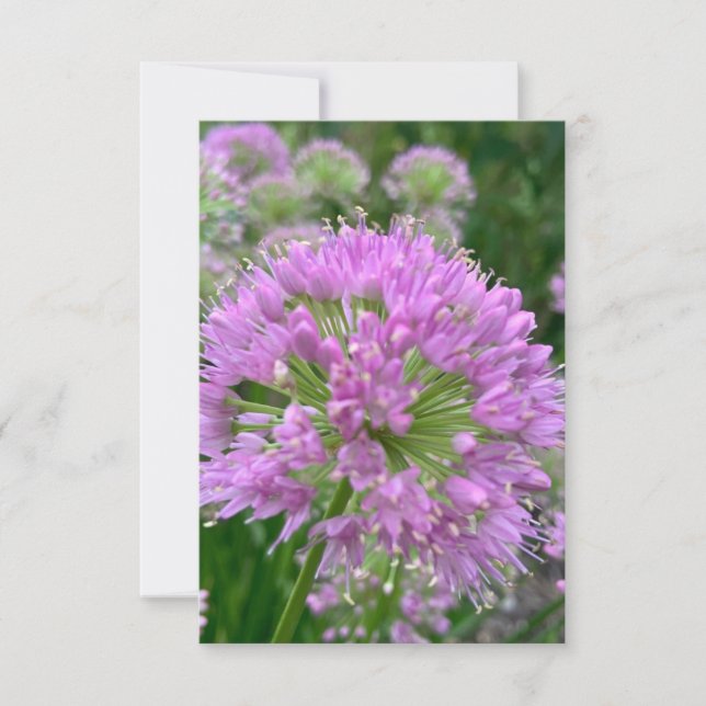 A Hint of Z "Light lavender floral" card (Front)