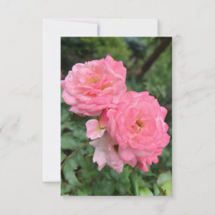 A Hint of Z "Pink rose" card